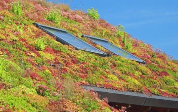 Hatch End living roof systems
