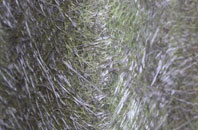 Hatch End fibreglass roof work